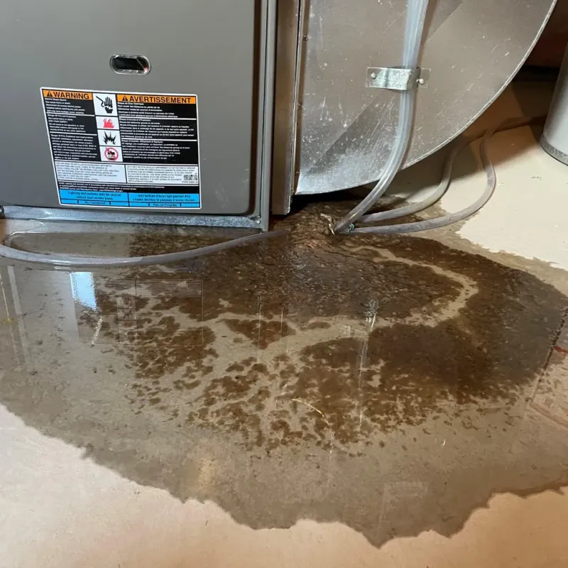 Appliance Leak Cleanup in Three Oaks, FL